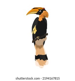 Great hornbill bird vector illustration
