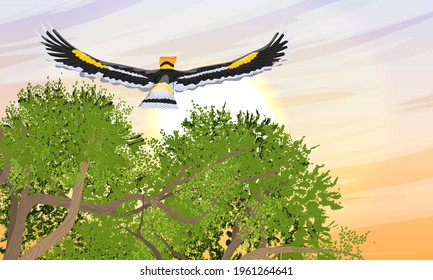 Great hornbill Buceros bicornis fly flies in the sky over green tree crowns. Tropical bird great Indian hornbill at sunset. Realistic vector landscape