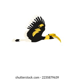 Der große HornBill, Buceros bicornis, auch bekannt als der konkakaskadierte HornBill, der große indische Hornfieffel oder der große Hupengnlinge.