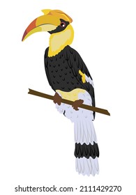 Great hornbill Buceros bicornis sits on a branch. Tropical bird great Indian hornbill. Realistic vector wild birds of India and Southeast Asia