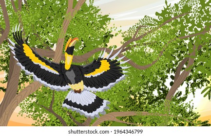 Great hornbill Buceros bicornis takes off from a tree branch. Tropical bird great Indian hornbill at sunset. Realistic vector landscape
