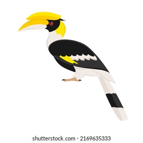 Great hornbill isolated on a white background. Vector illustration in flat style