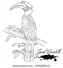 Great Hornbill, realistischer Vogel, Vektorgrafik