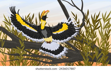 Great hornbill takes off from a tree branch. Tropical bird great Indian hornbill at sunset. Realistic vector landscape