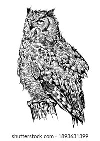 Great Horned Owl Isolated On A Pole - Vector Illustration