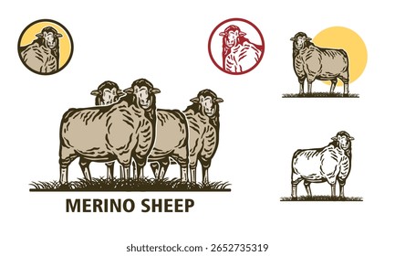 grande ovelha merino de pé no logotipo da fazenda, silhueta de ilustrações vetor do rancho de carneiro feliz