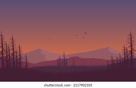 Great mountain view from the edge of the forest with the silhouettes of dry trees all around