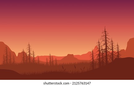 Schöner Bergblick mit Baumseihouettes von der Stadt bei Sonnenuntergang