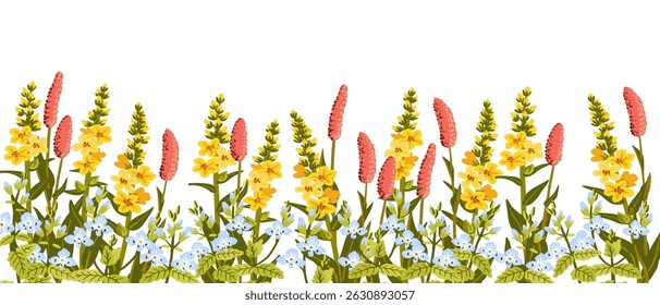 great mullein, bistort and germander speedwell, field flowers, vector drawing wild plants at white background, floral elements, hand drawn botanical illustration