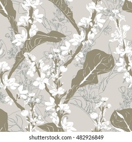 Great Mullein  Flowers Seamless Pattern