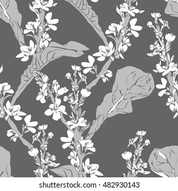 Great Mullein Flowers Seamless Pattern
