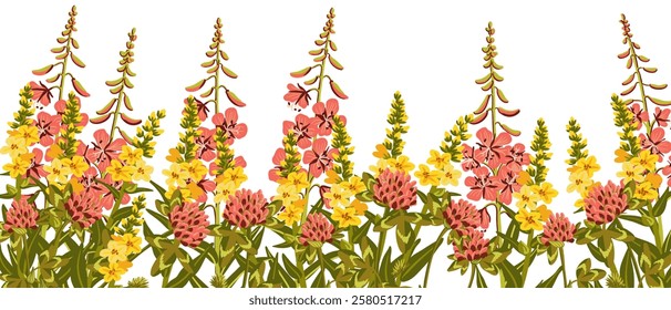 great mullein and willowherb, field flowers, Verbascum thapsus and rosebay, fireweed, vector drawing wild plants at white background, floral elements, hand drawn botanical illustration