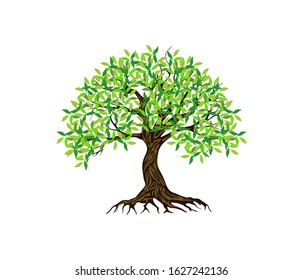 great olive tree logo vector isolated.