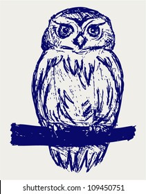 Great Owl. Sketch