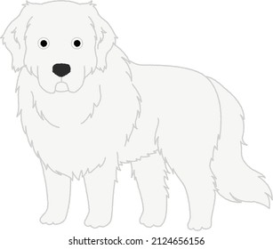 Great Pyrenees. The breed is widely used throughout France as a livestock guardian, particularly in the French Alps and Pyrenees, protecting flocks from predation by wolves and bears.