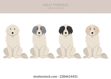 Great Pyrenees clipart. Different poses, coat colors set.  Vector illustration