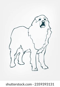 Great Pyrenees dog breed animal vector line art one line sketch outline