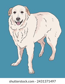 Große Pyrenäen Hund stehend Seitenansicht