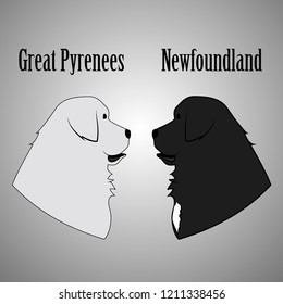 Great Pyrenees and Newfoundland Dog Vector