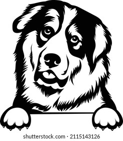 Great Pyrenees Peeking Dog Vector Image Clipart Silhouette Cricut EPS Great Pyrenees Head Outlines Black And White  svg