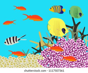 Great reef Australia