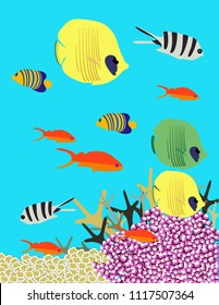Great reef Australia