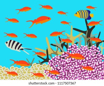Great reef Australia