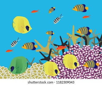 Great reef Australia banner decor