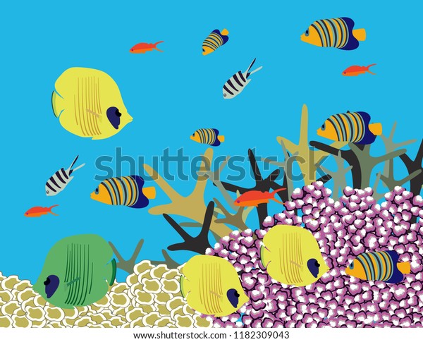 Great Reef Australia Banner Decor Stock Vector Royalty Free