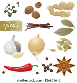 Great set of different spices