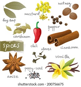 Great set of different spices