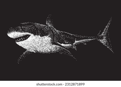 great shark hand drawing vector isolated on black background.