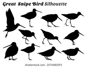 Great Snipe Bird silhouette vector illustration set