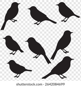 Great spotted birds  silhouette set. Realistic vector animal.