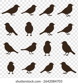 Great spotted birds  silhouette set. Realistic vector animal.