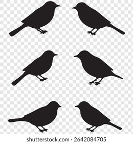 Great spotted birds  silhouette set. Realistic vector animal.