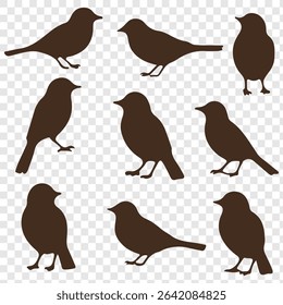 Great spotted birds  silhouette set. Realistic vector animal.