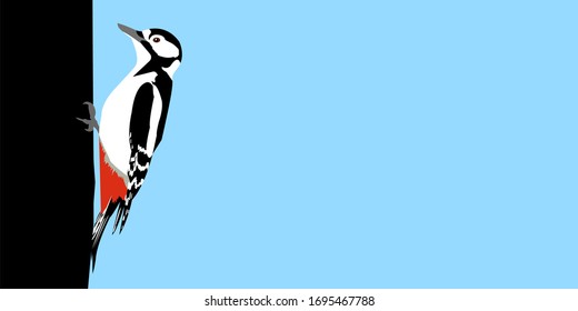 Great spotted woodpecker (Dendrocopos major)female on tree with copy space. Woodpecker, vector stock illustration