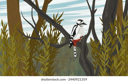 A great spotted woodpecker sits on a tree branch in a summer forest. Wild bird of Palearctic and North America. Realistic vector landscape