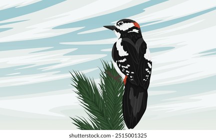 A great spotted woodpecker sits on the top of a spruce tree. Wild bird of Palearctic and North America. Realistic vector landscape