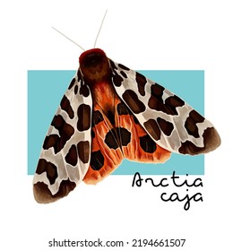 The great tiger moth or Arctia caja. Vector colorful hand drawn illustration with an inscription.