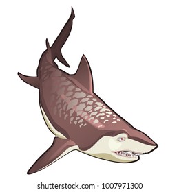 Great tiger shark isolated on white background. Vector cartoon close-up illustration.