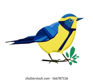great tit bird