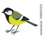 Great tit bird vector cartoon illustration