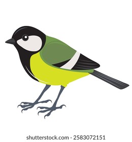 Great tit bird vector cartoon illustration