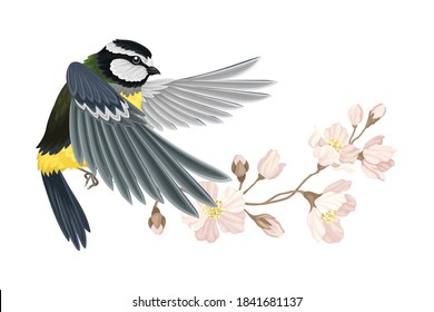 Great Tit with Black Head and Yellow Body Flying Towards Apple Blossom Branch Vector Illustration