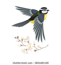 Great Tit with Black Head and Yellow Body Flying Towards Apple Blossom Branch Vector Illustration