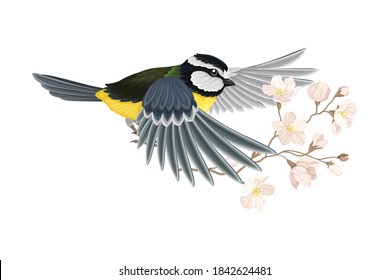 Great Tit with Black Head and Yellow Body Flying Towards Apple Blossom Branch Vector Illustration