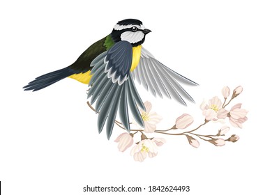 Great Tit with Black Head and Yellow Body Flying Towards Apple Blossom Branch Vector Illustration