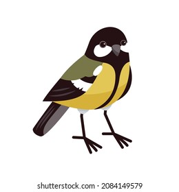 Great tit in cartoon style isolated on a white background. City birds, tomtit. Parus major. Vector flat illustration.